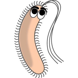 Bacteria PNG-43371